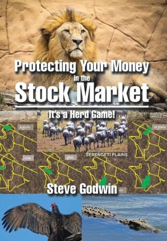 Protecting Your Money in the Stock Market av Steve Godwin (Hardcover)
