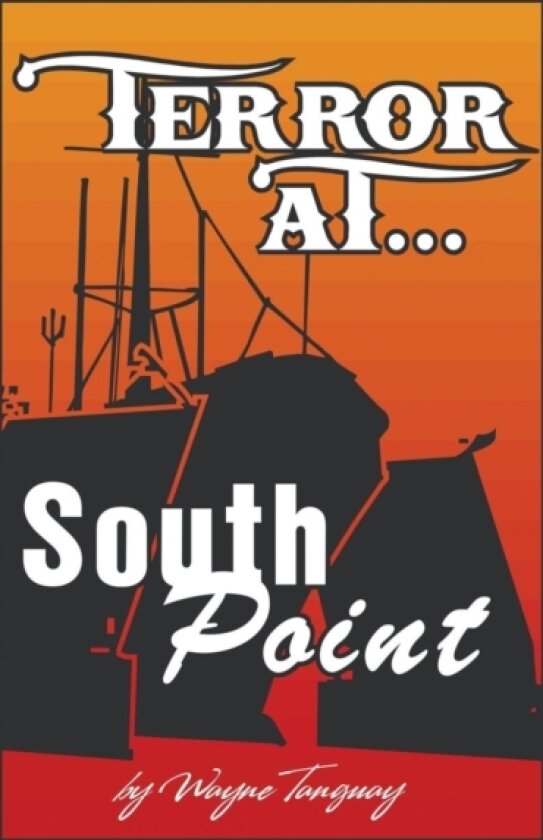 Terror at South Point av Wayne a Tanguay (Paperback)