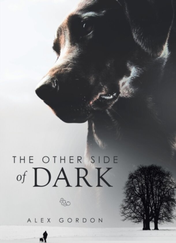 The Other Side of Dark av Alex Gordon (Paperback)
