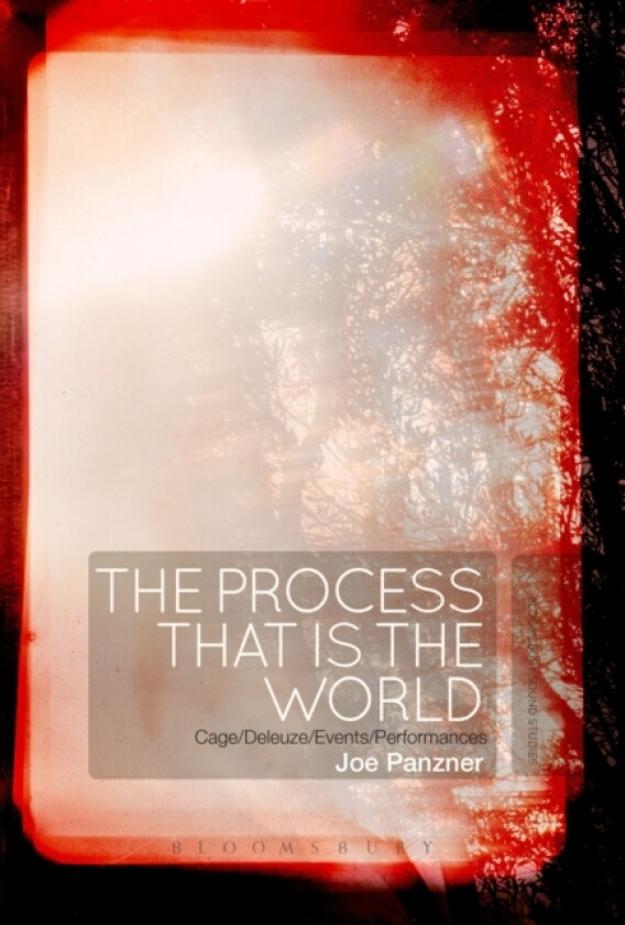 The Process That Is the World av Lecturer in Musicology Joe Panzner (Paperback)