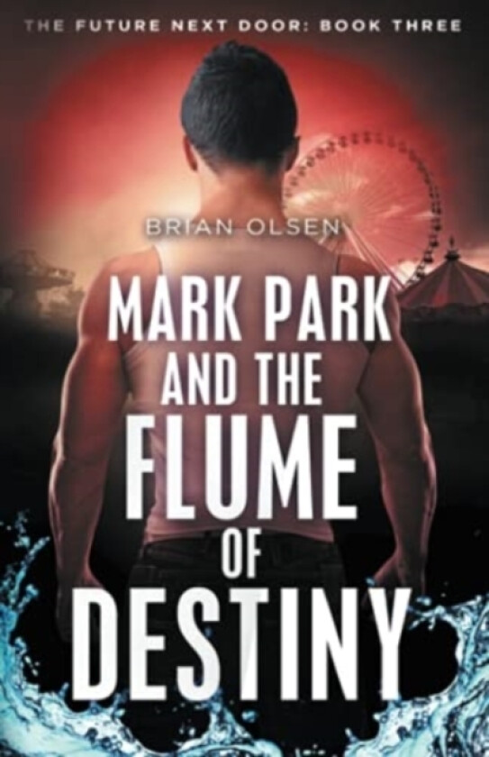 Mark Park and the Flume of Destiny av Brian Olsen (Paperback)