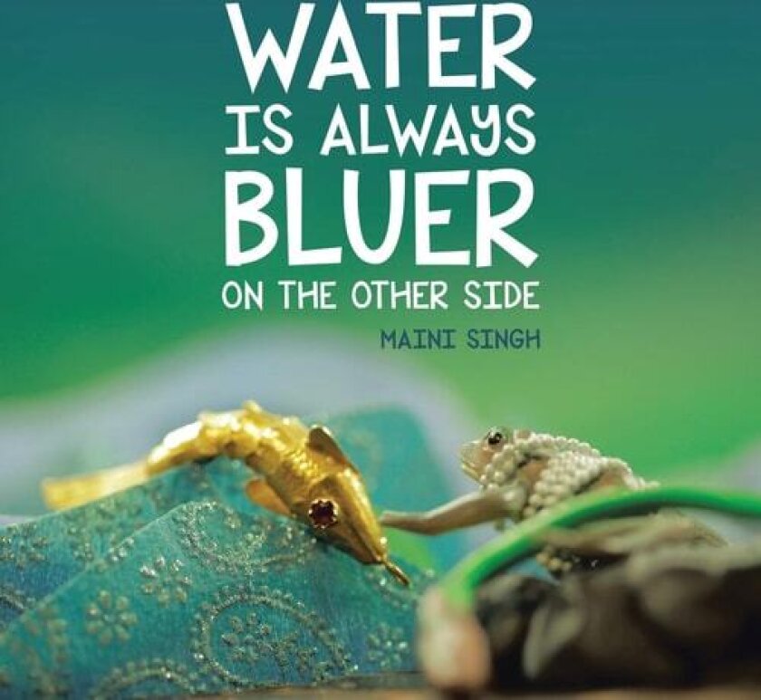 Water Is Always Bluer on the Other Side av Maini Singh (Paperback)