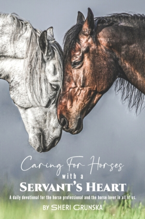 Caring for Horses with a Servant's Heart av Sheri Grunska (Paperback)