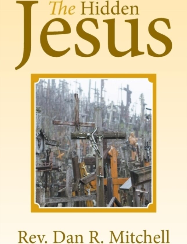 The Hidden Jesus av Dan R Mitchell (Paperback)