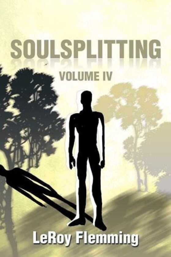 Soulsplitting av Leroy Flemming (Paperback)