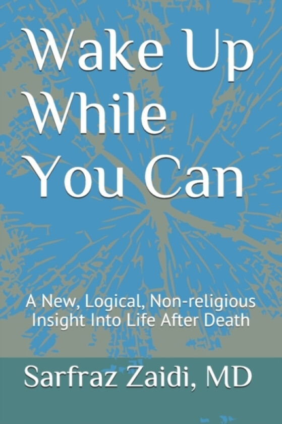 Wake Up While You Can av Sarfraz MD Zaidi (Paperback)