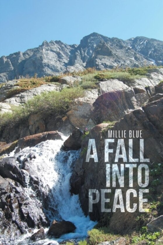 A Fall Into Peace av Millie Blue (Paperback)