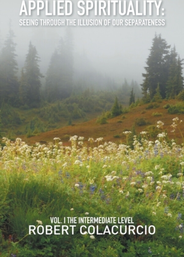 Applied Spirituality av Robert Colacurcio (Paperback)