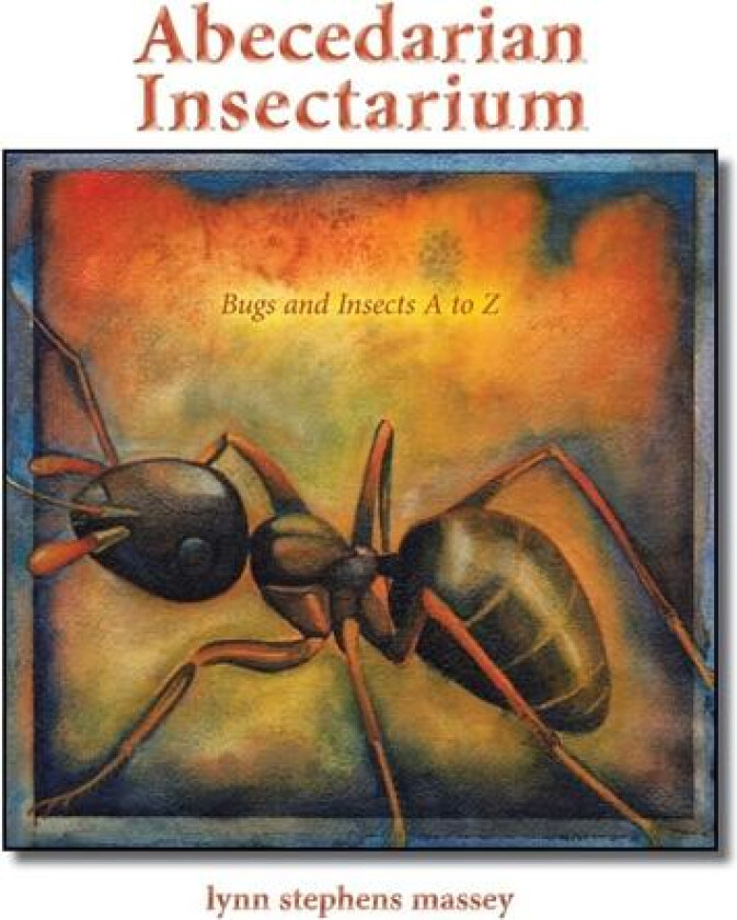 Abecedarian Insectarium av Lynn Stephens Massey (Paperback)
