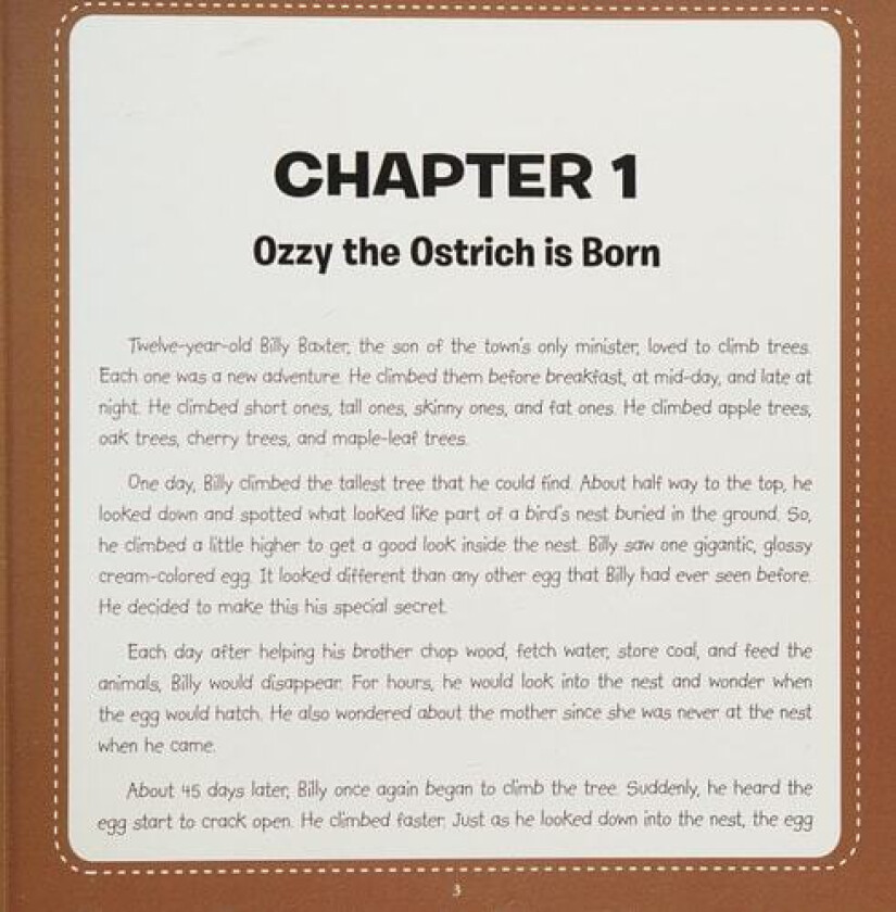 The Awesome Amazing Adventures of Ozzy the Ostrich av Dr Tonya Swanson (Paperback)