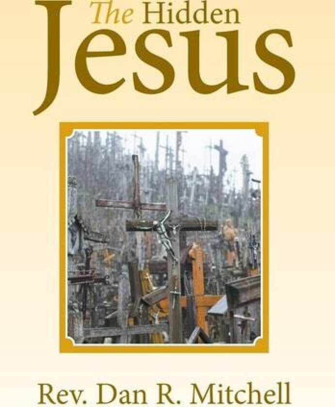 The Hidden Jesus av Dan R Mitchell (Hardcover)