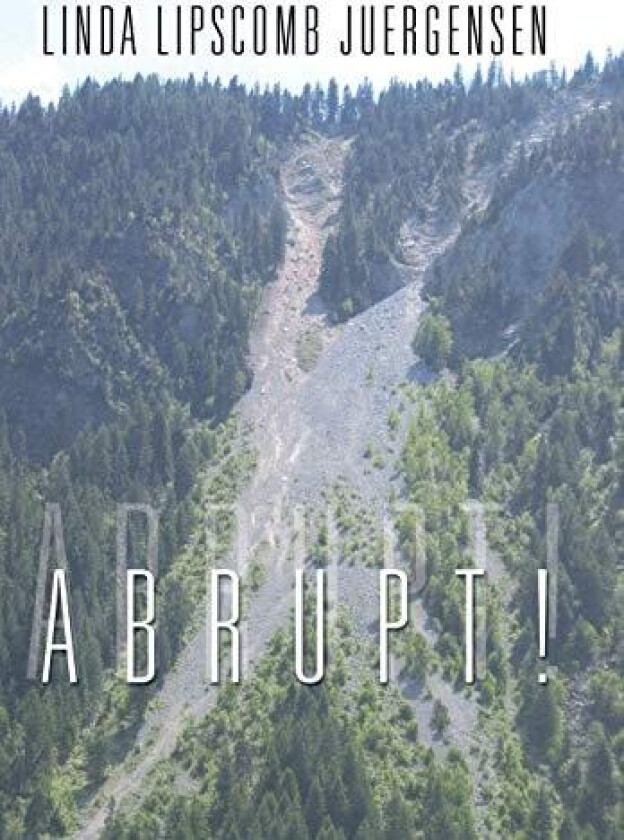 Abrupt! av Linda Lipscomb Juergensen (Hardcover)