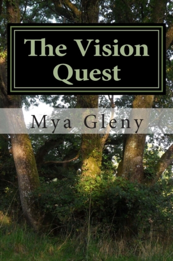 The Vision Quest av Mya Gleny (Paperback)