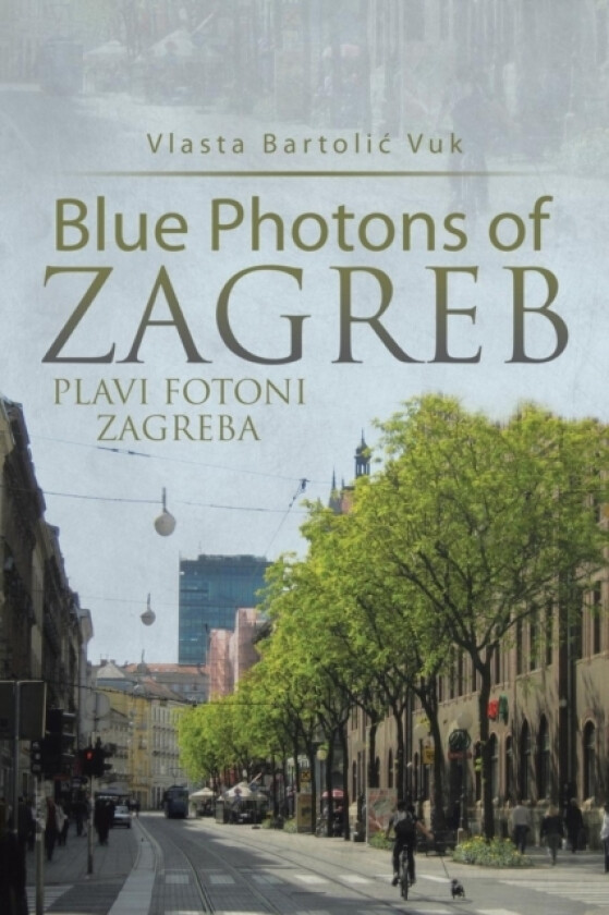 Blue Photons of Zagreb av Vlasta Bartolic Vuk (Paperback)
