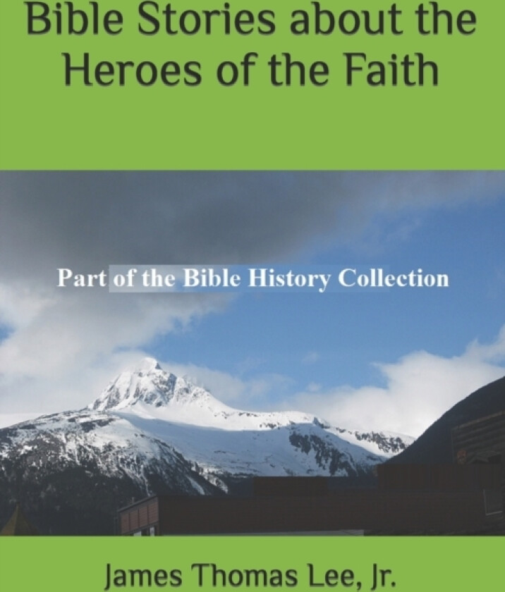 Bible Stories about the Heroes of the Faith av James Thomas Jr Lee (Paperback)