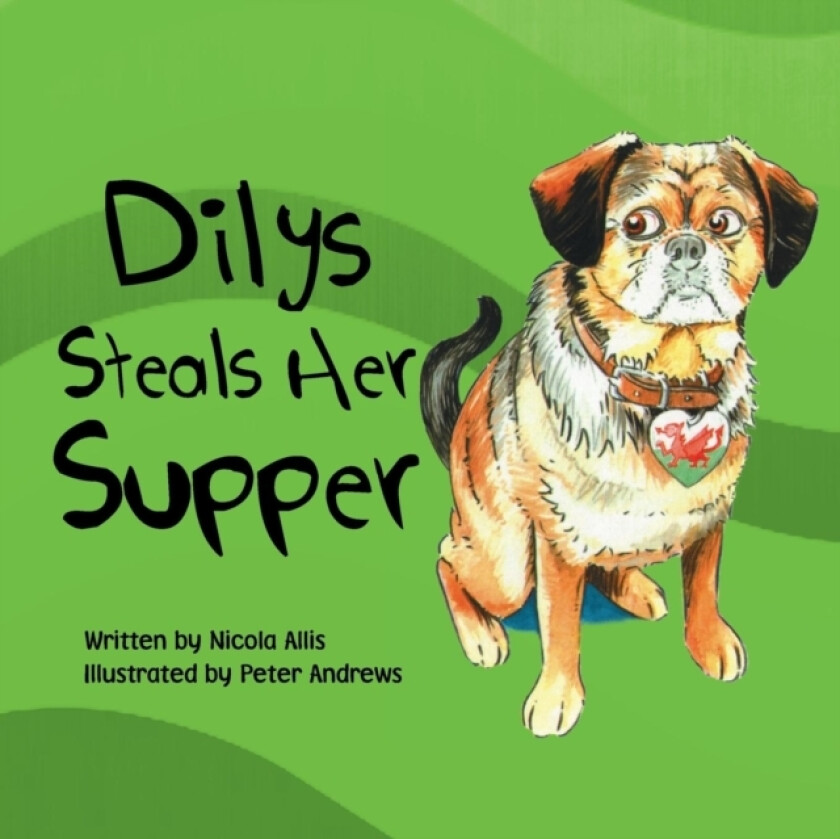 Dilys Steals Her Supper av Nicola Allis (Paperback)