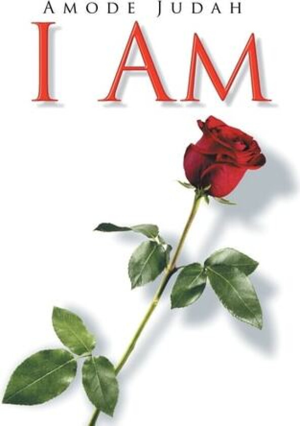 I Am av Amode Judah (Hardcover)