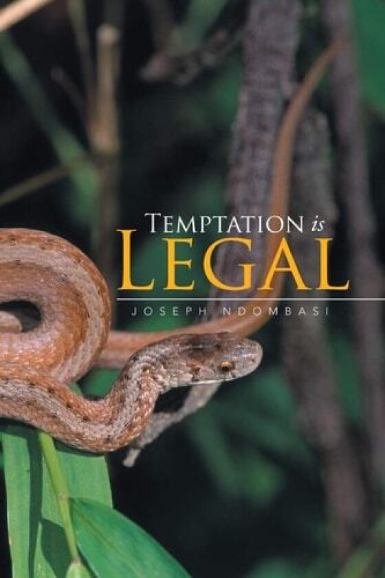 Temptation Is Legal av Joseph Ndombasi (Paperback)