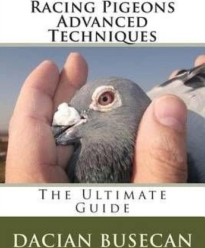 Racing Pigeons Advanced Techniques av Dacian Busecan (Paperback)