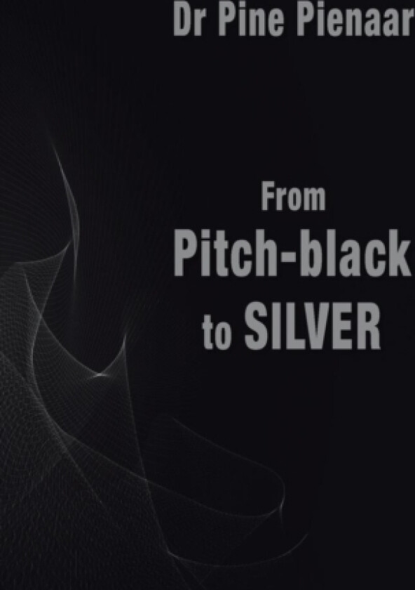 From Pitch-Black to Silver av Dr Pine Pienaar (Paperback)