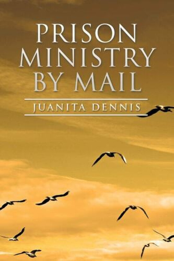 Prison Ministry by Mail av Juanita Dennis (Paperback)