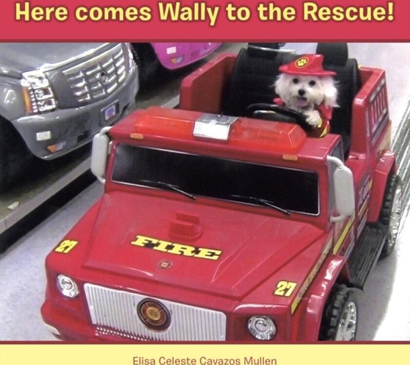 Here Comes Wally to the Rescue! av Elisa Celeste Cavazos Mullen (Paperback)