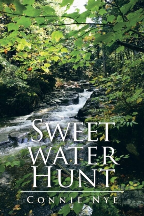 Sweet Water Hunt av Connie Nye (Paperback)