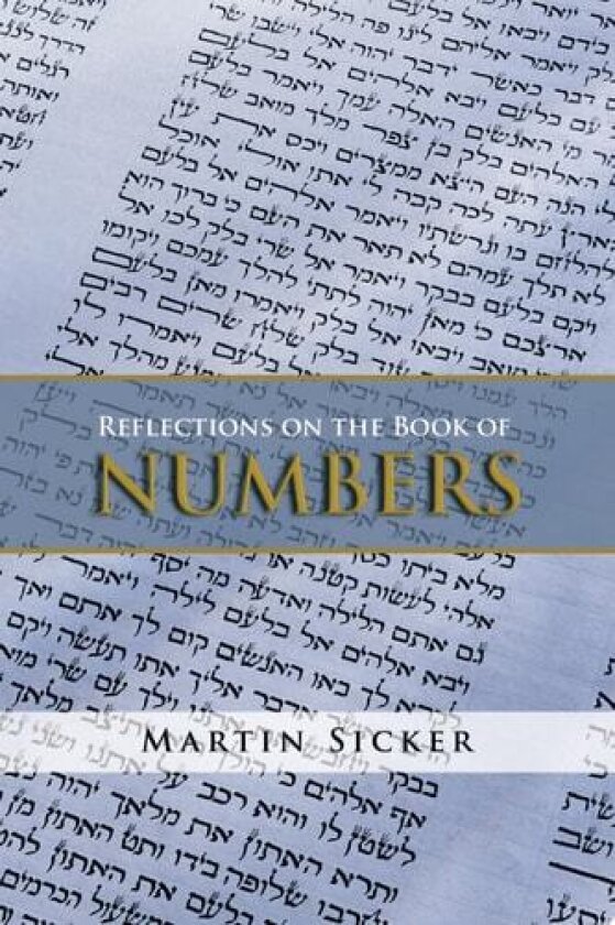 Reflections on the Book of Numbers av Martin Sicker (Paperback)