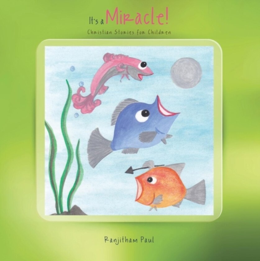 It's a Miracle! av Ranjitham Paul (Paperback)
