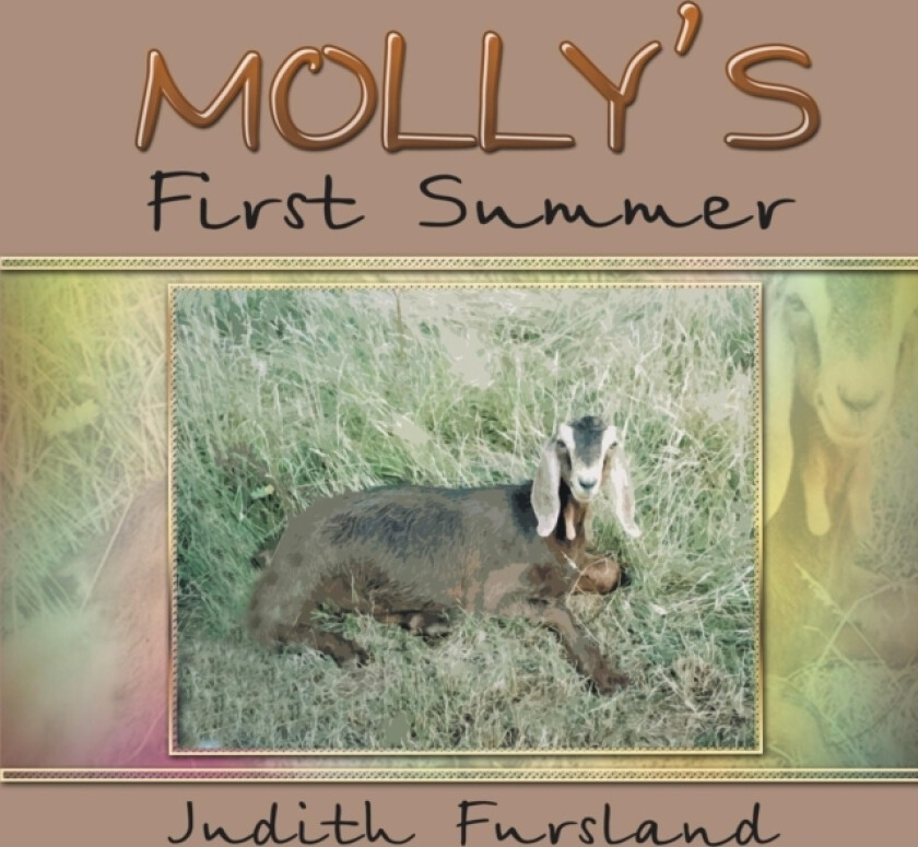 Molly's First Summer av Judith Fursland (Paperback)