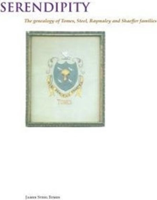 Serendipity av James Steel Tomes (Paperback)