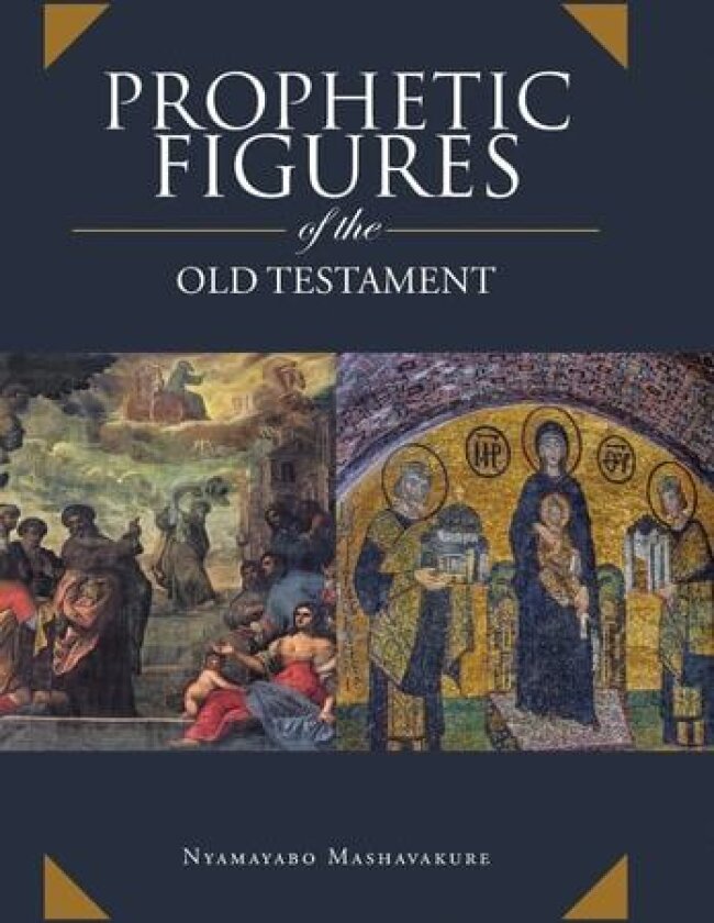 Prophetic Figures of the Old Testament av Nyamayabo Mashavakure (Hardcover)