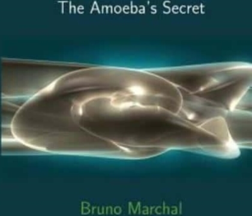 The Amoeba's Secret av Bruno Marchal (Paperback)