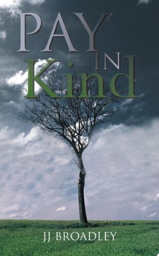 Pay In Kind av JJ Broadley (Paperback)