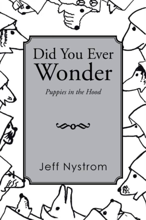 Did You Ever Wonder av Jeff Nystrom (Paperback)