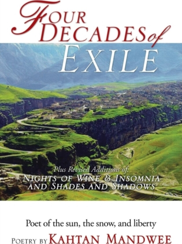 Four Decades of Exile av Kahtan Mandwee (Paperback)