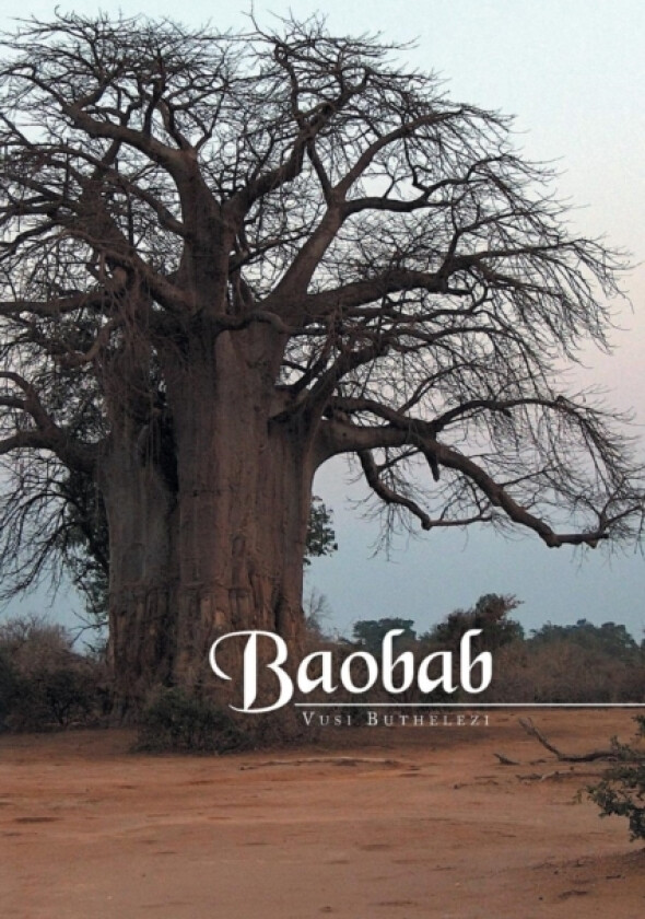 Baobab av Vusi Buthelezi (Paperback)