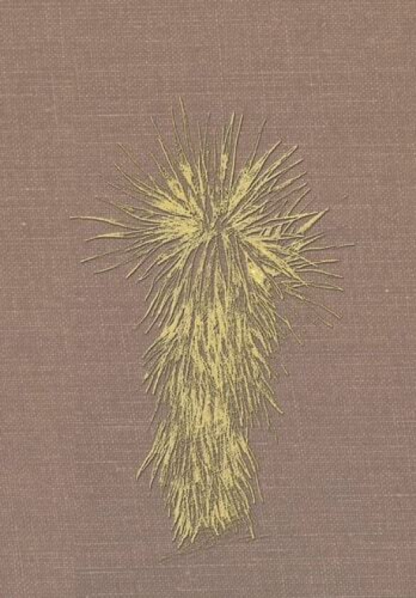 Marfa and Presidio County, Texas: A Social, Economic, and Cultural Study 1937 to 2008 Volume One, 1937-1989 av Louise O'Connor, Cecilia Thompson (Hardcover)