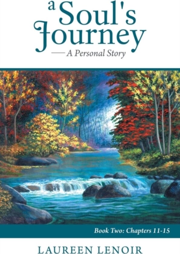 A Soul's Journey av Laureen LeNoir (Paperback)