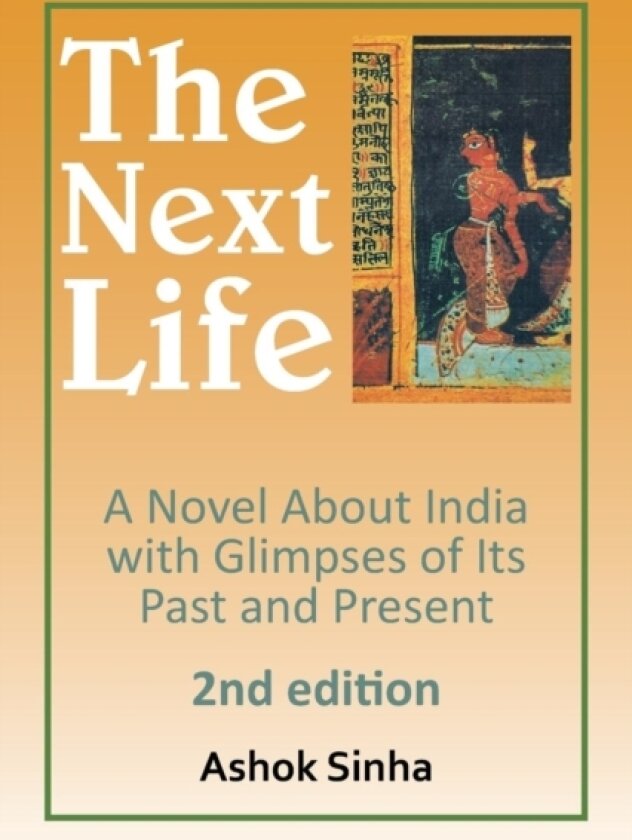 The Next Life av Ashok K Sinha (Paperback)