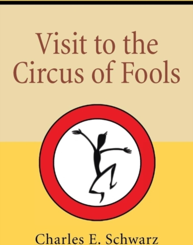 Visit to the Circus of Fools av Charles E Schwarz (Paperback)