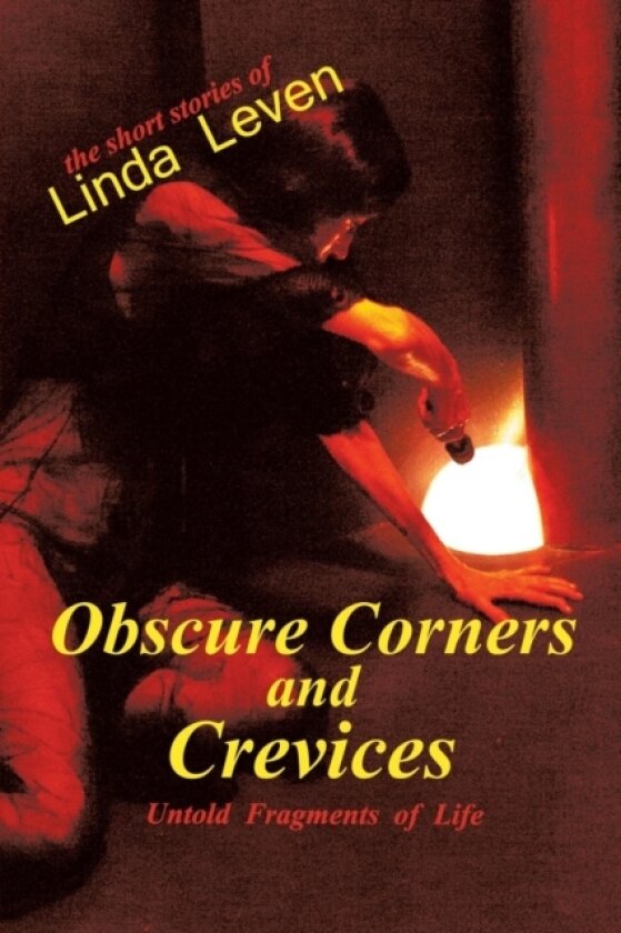 Obscure Corners and Crevices av Linda Leven (Paperback)