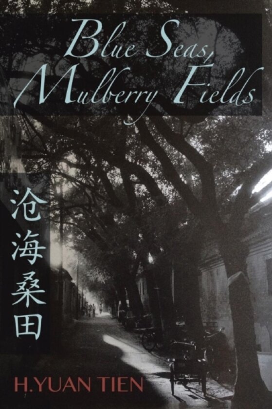 Blue Seas, Mulberry Fields av H Yuan Tien (Paperback)