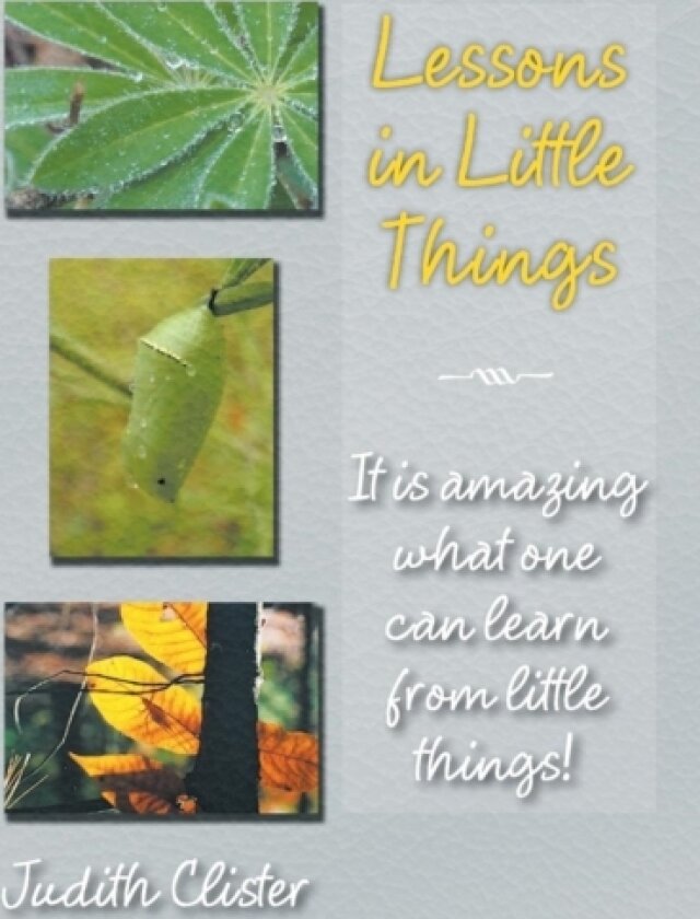 Lessons in Little Things av Judith Clister (Hardcover)