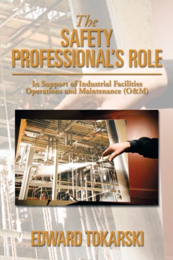 The Safety Professional's Role av Edward Tokarski (Paperback)