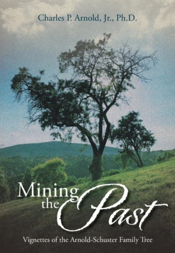 Mining the Past av Charles P Jr Arnold Ph D (Paperback)