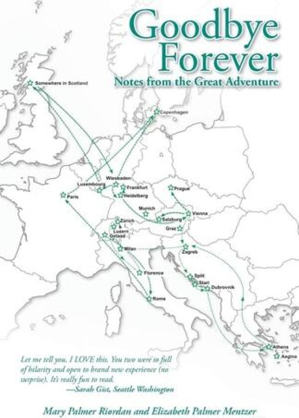 Goodbye Forever av Mary P Riordan, Elizabeth P Mentzer (Paperback)