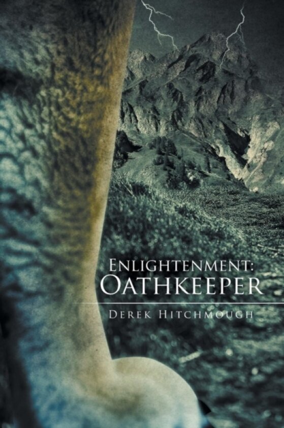 Enlightenment av Derek Hitchmough (Paperback)