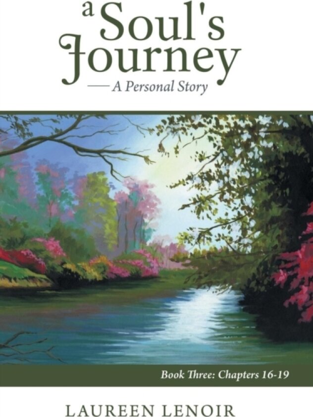 A Soul's Journey av Laureen LeNoir (Hardcover)