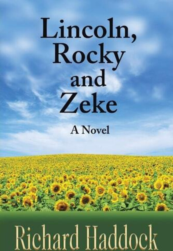 Lincoln, Rocky & Zeke av Richard Haddock (Paperback)